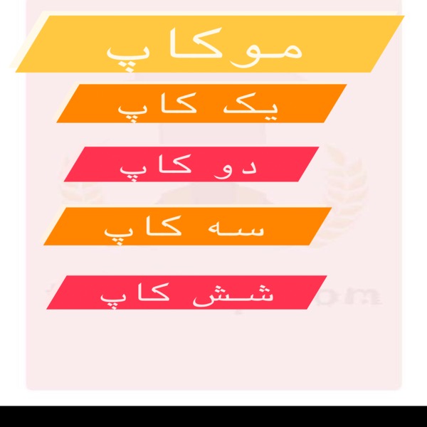 موکاپ